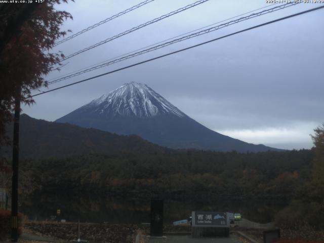 西湖からの富士山