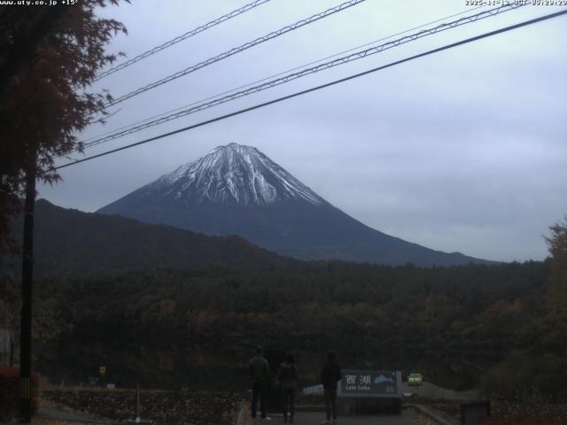 西湖からの富士山