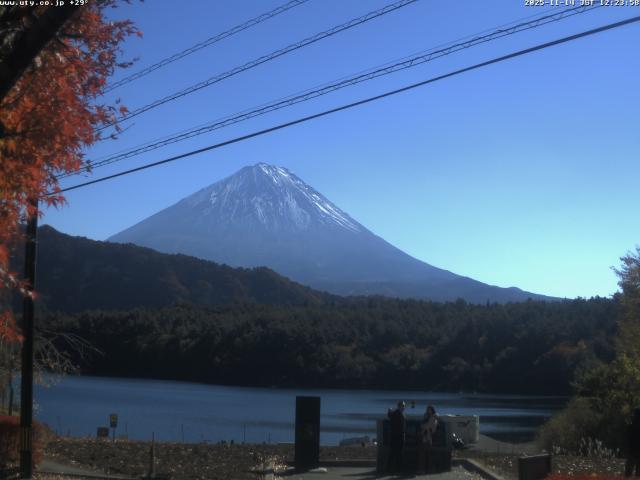 西湖からの富士山