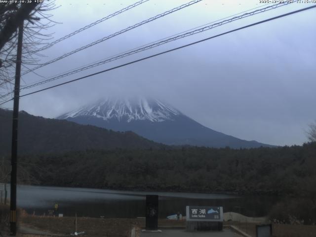 西湖からの富士山