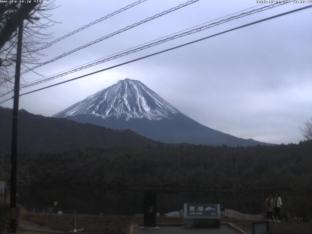 西湖からの富士山