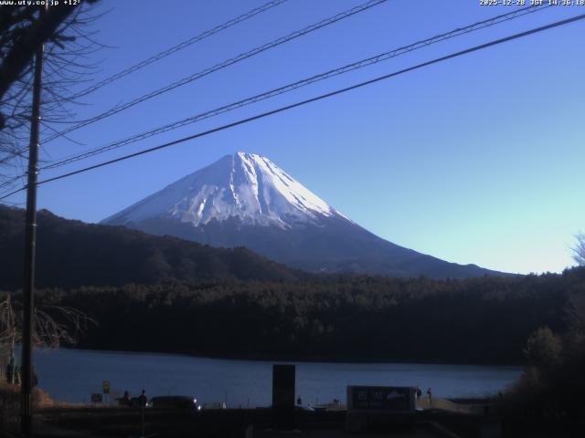 西湖からの富士山