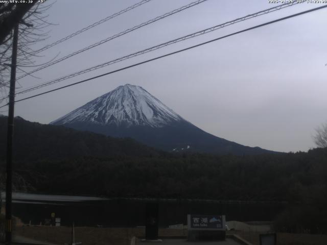西湖からの富士山
