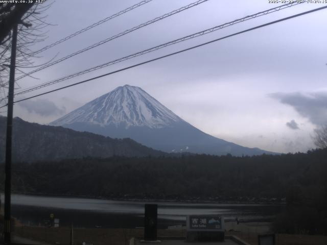 西湖からの富士山