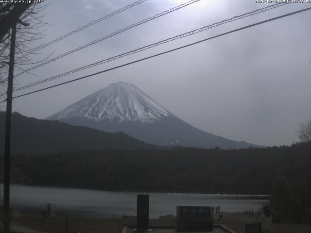 西湖からの富士山