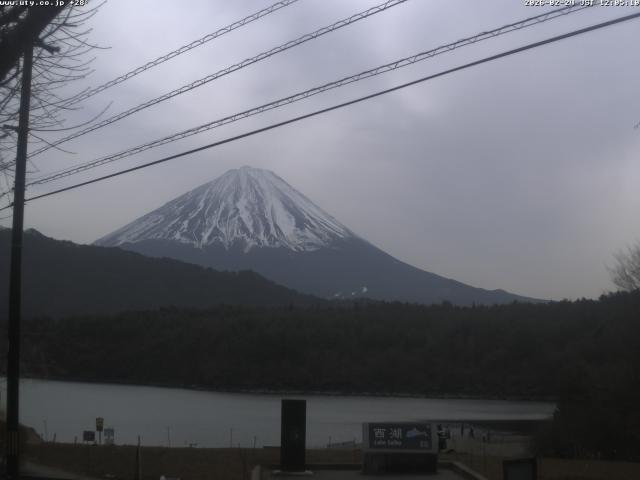 西湖からの富士山
