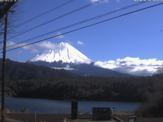 西湖からの富士山