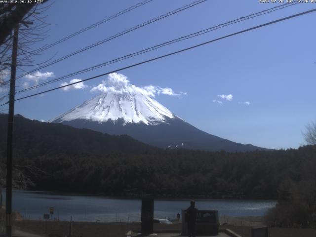 西湖からの富士山