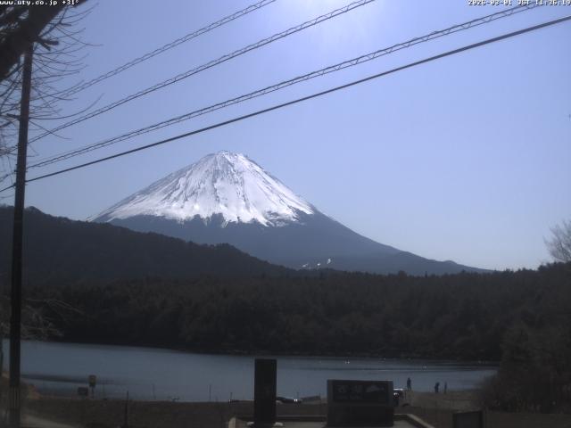西湖からの富士山