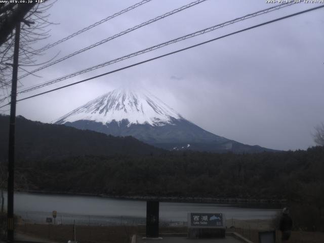 西湖からの富士山