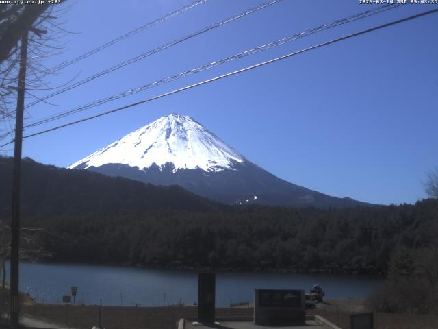 西湖からの富士山