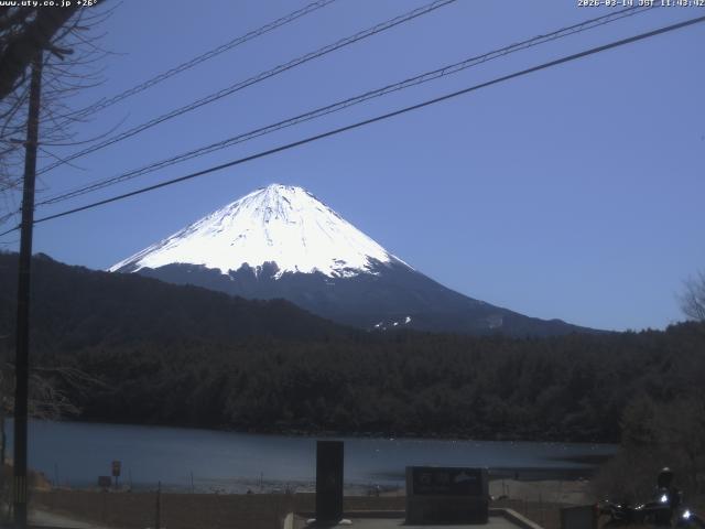 西湖からの富士山