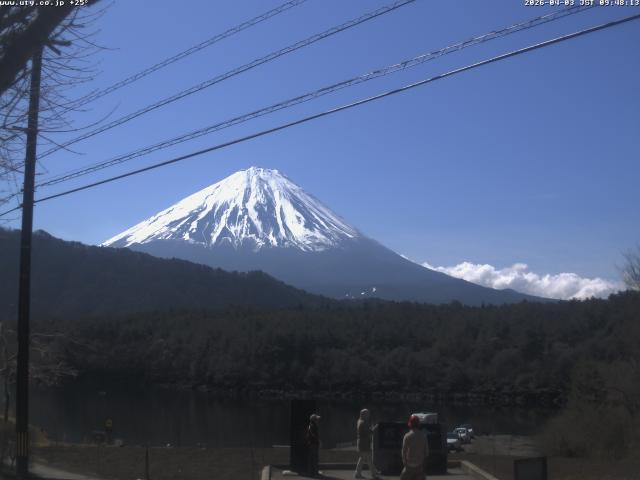 西湖からの富士山