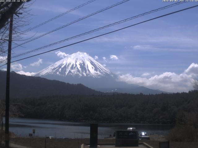 西湖からの富士山