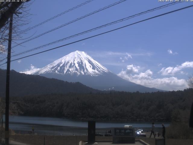 西湖からの富士山