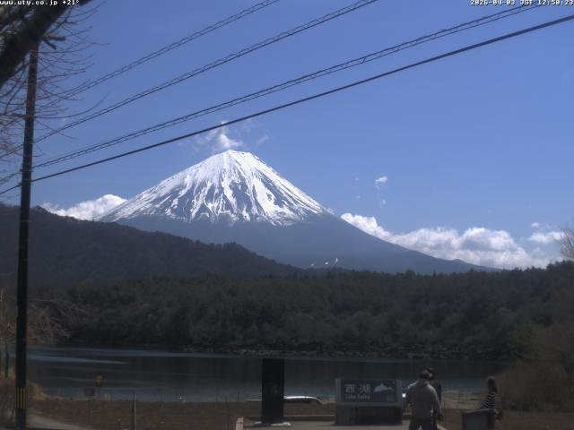 西湖からの富士山