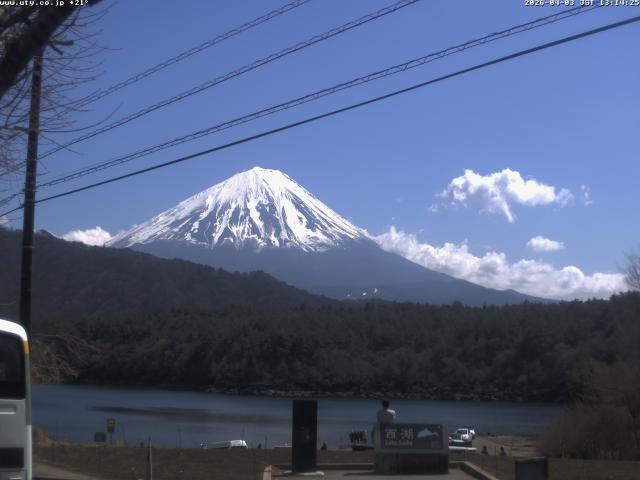 西湖からの富士山