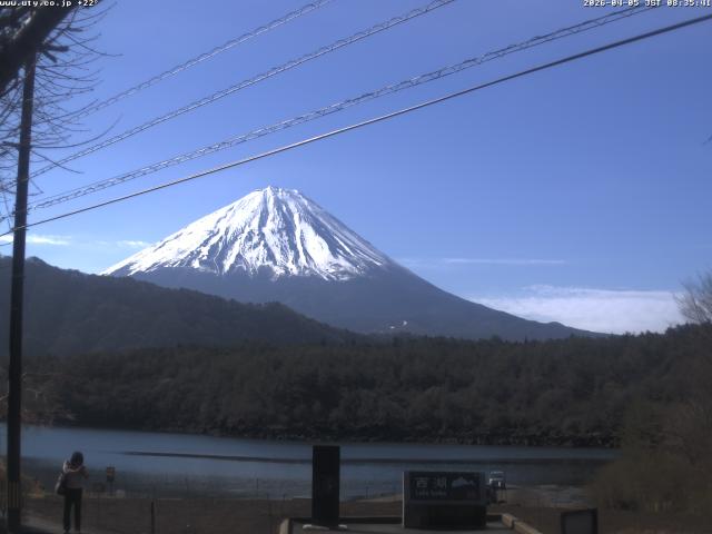 西湖からの富士山