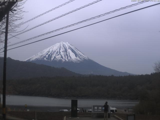 西湖からの富士山
