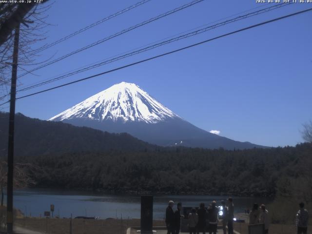 西湖からの富士山