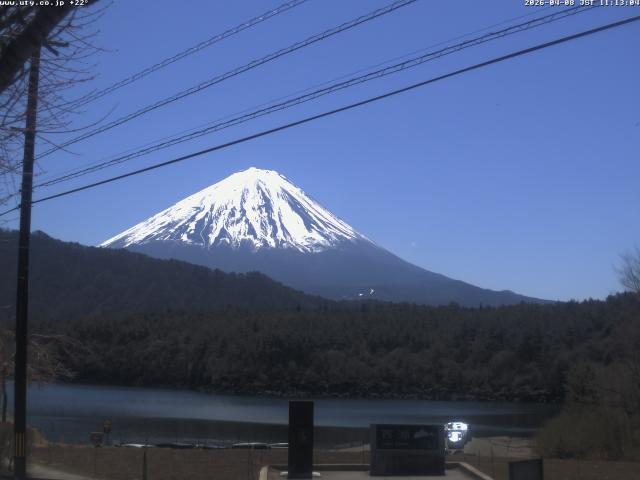 西湖からの富士山
