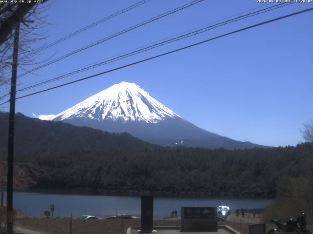西湖からの富士山