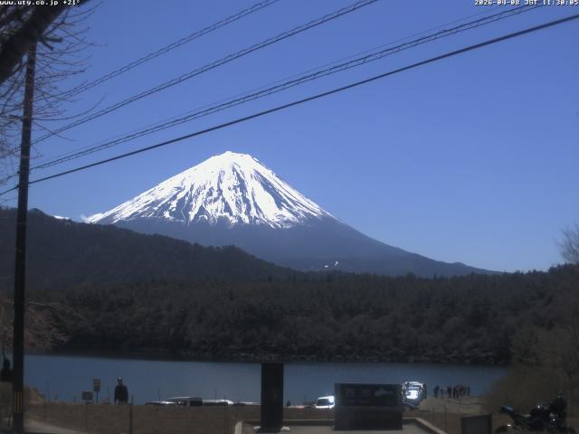 西湖からの富士山