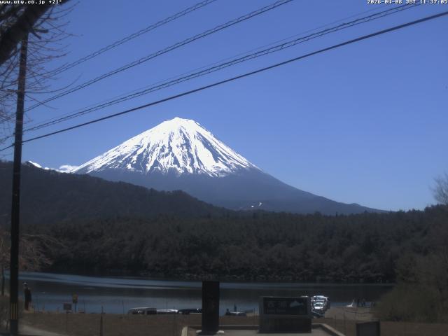西湖からの富士山