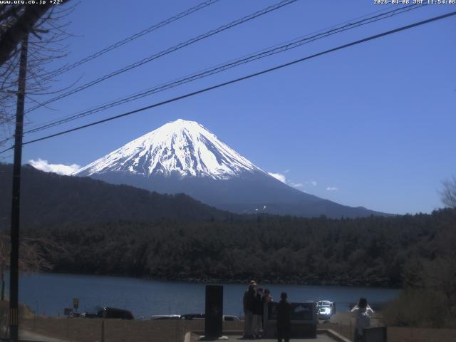 西湖からの富士山