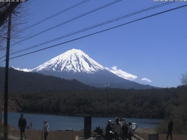西湖からの富士山