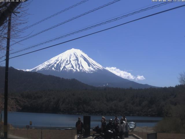 西湖からの富士山