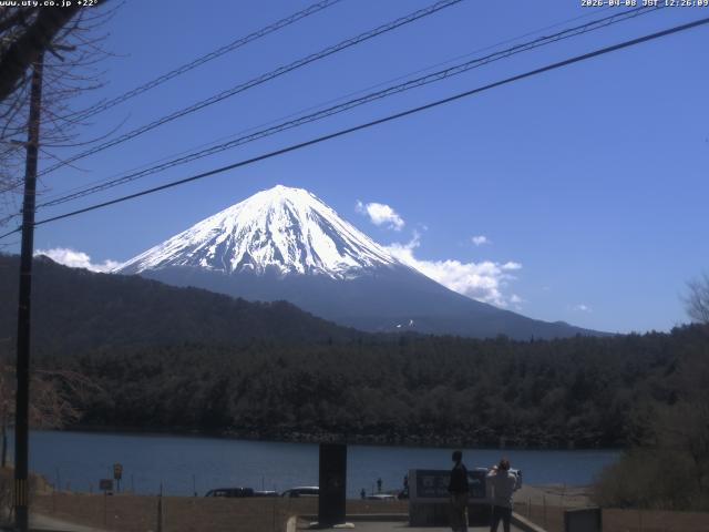 西湖からの富士山