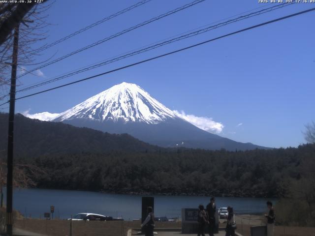 西湖からの富士山