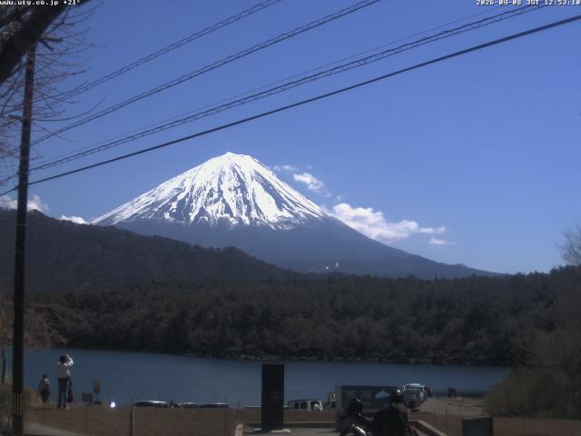 西湖からの富士山