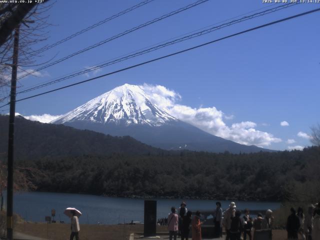 西湖からの富士山