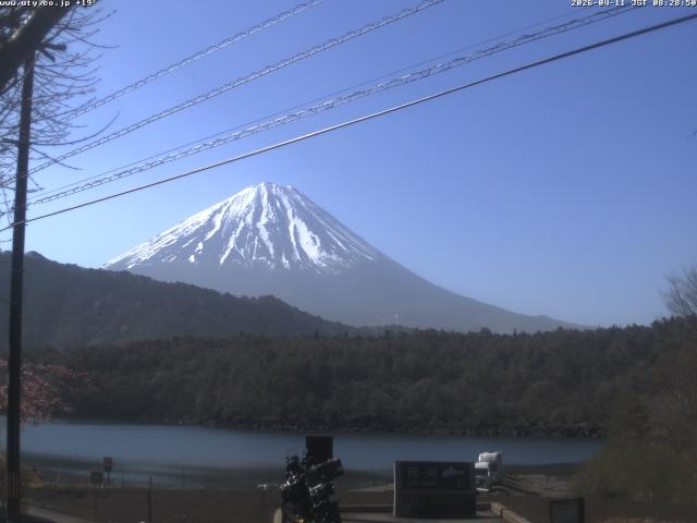 西湖からの富士山