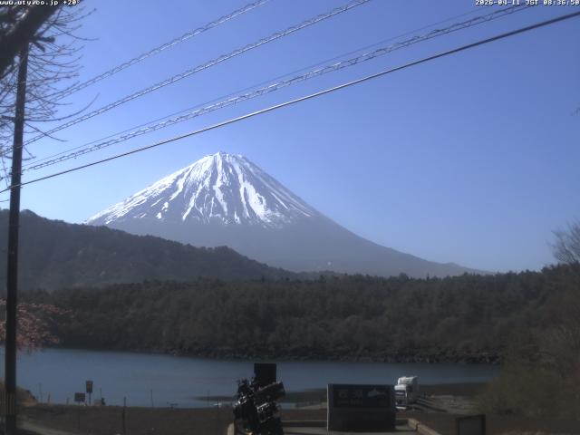 西湖からの富士山