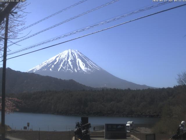 西湖からの富士山