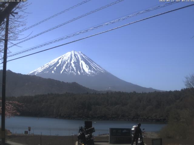 西湖からの富士山