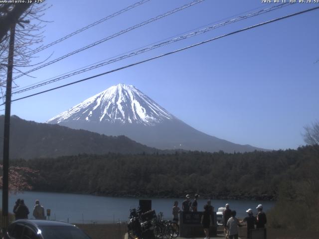 西湖からの富士山
