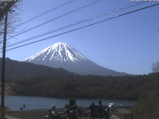 西湖からの富士山