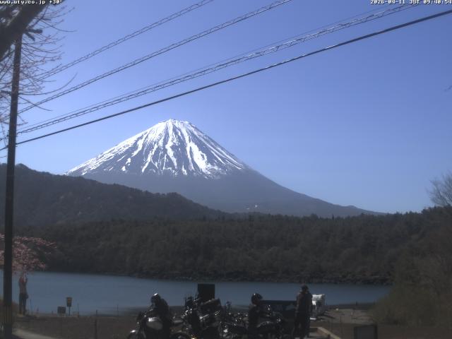西湖からの富士山