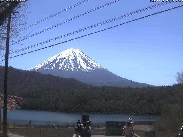 西湖からの富士山