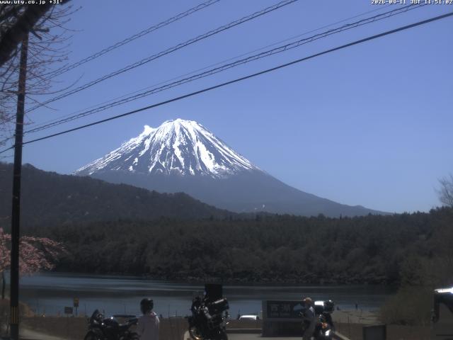 西湖からの富士山