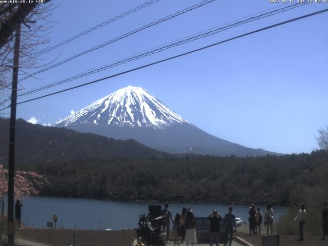 西湖からの富士山