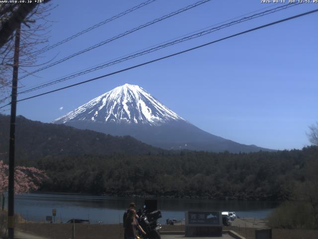 西湖からの富士山
