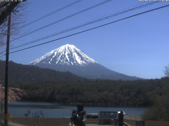 西湖からの富士山