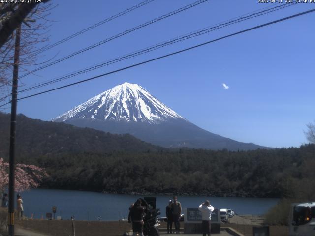 西湖からの富士山