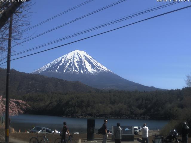 西湖からの富士山