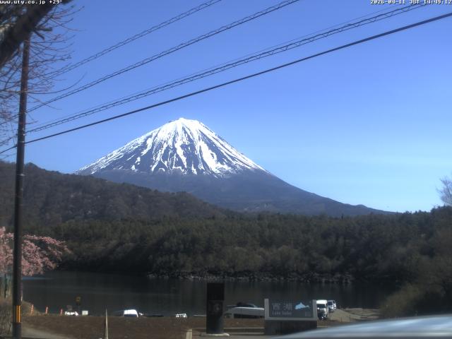 西湖からの富士山